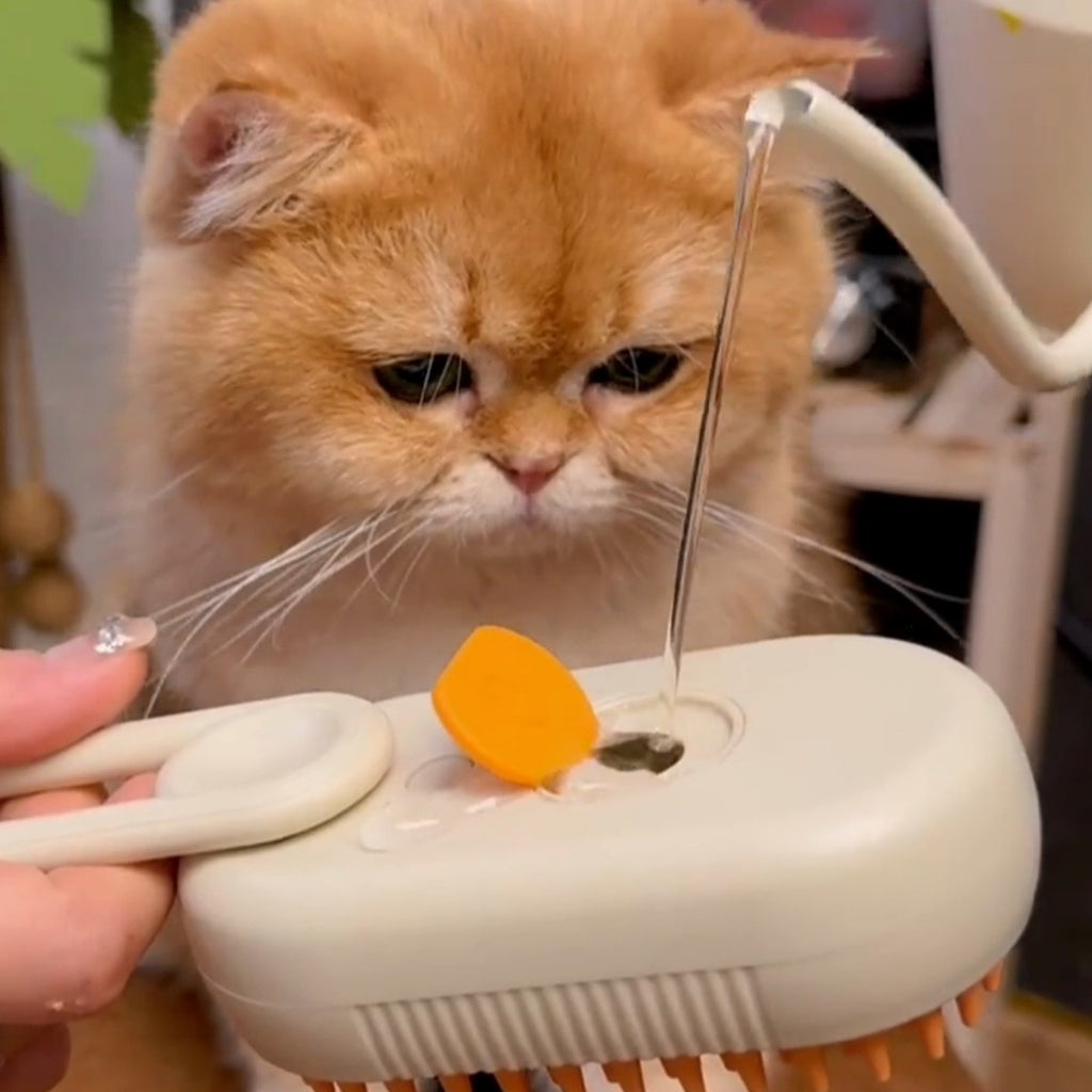 SteamGroom Pet Brush