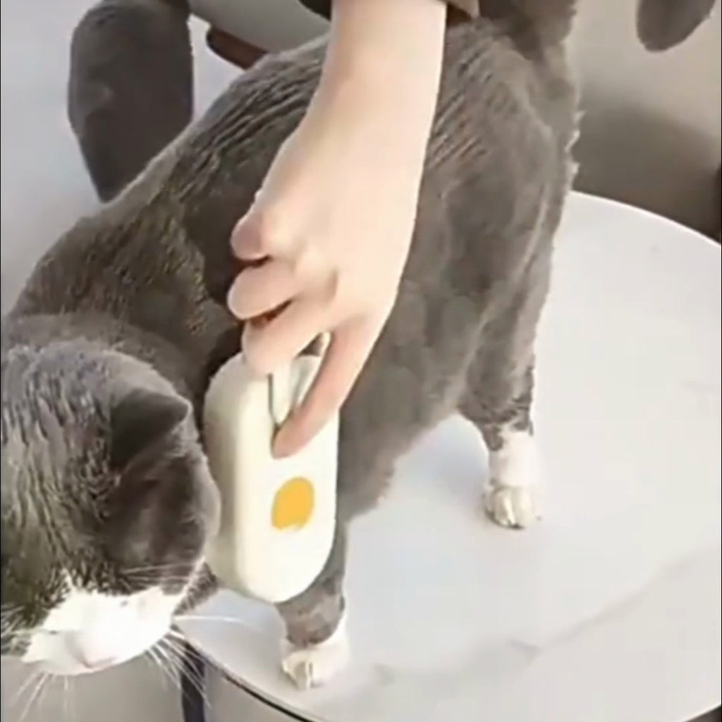 SteamGroom Pet Brush